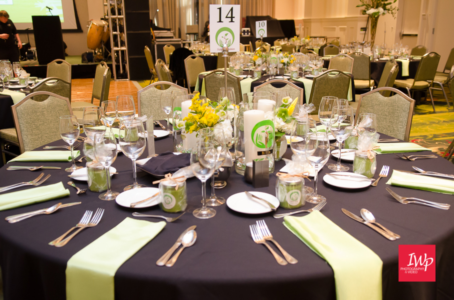 Table setting for the Helene Foundation Gala photographed by IWP Photography & Video